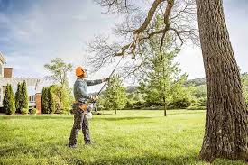 Best Tree Maintenance Programs  in Manor, PA