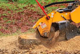 Best Commercial Tree Services  in Manor, PA